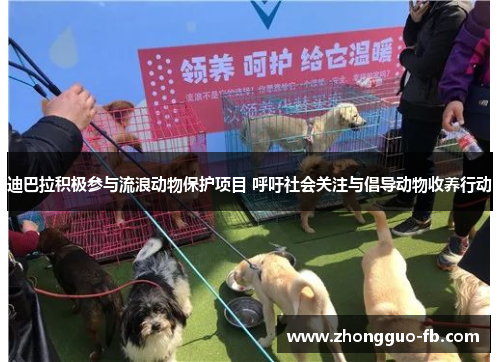 迪巴拉积极参与流浪动物保护项目 呼吁社会关注与倡导动物收养行动 迪巴拉积极参与流浪动物保护项目 呼吁社会关注与倡导动物收养行动