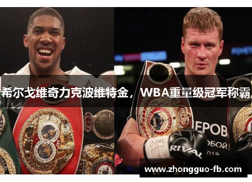 希尔戈维奇力克波维特金，WBA重量级冠军称霸