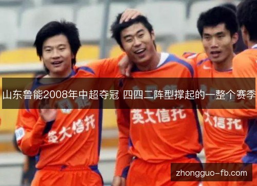 山东鲁能2008年中超夺冠 四四二阵型撑起的一整个赛季 山东鲁能2008年中超夺冠 四四二阵型撑起的一整个赛季